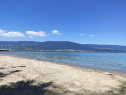 Foto von Port d'Yvonand Beach und die siedlung
