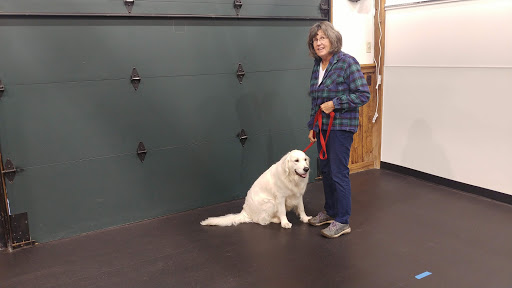 Dog Trainer «Awesome Dawgs Dog Training LLC», reviews and photos, 3052 Pricetown Rd, Temple, PA 19560, USA