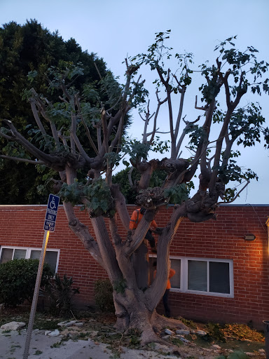 13025 Bailey St, Whittier, CA 90601, USA