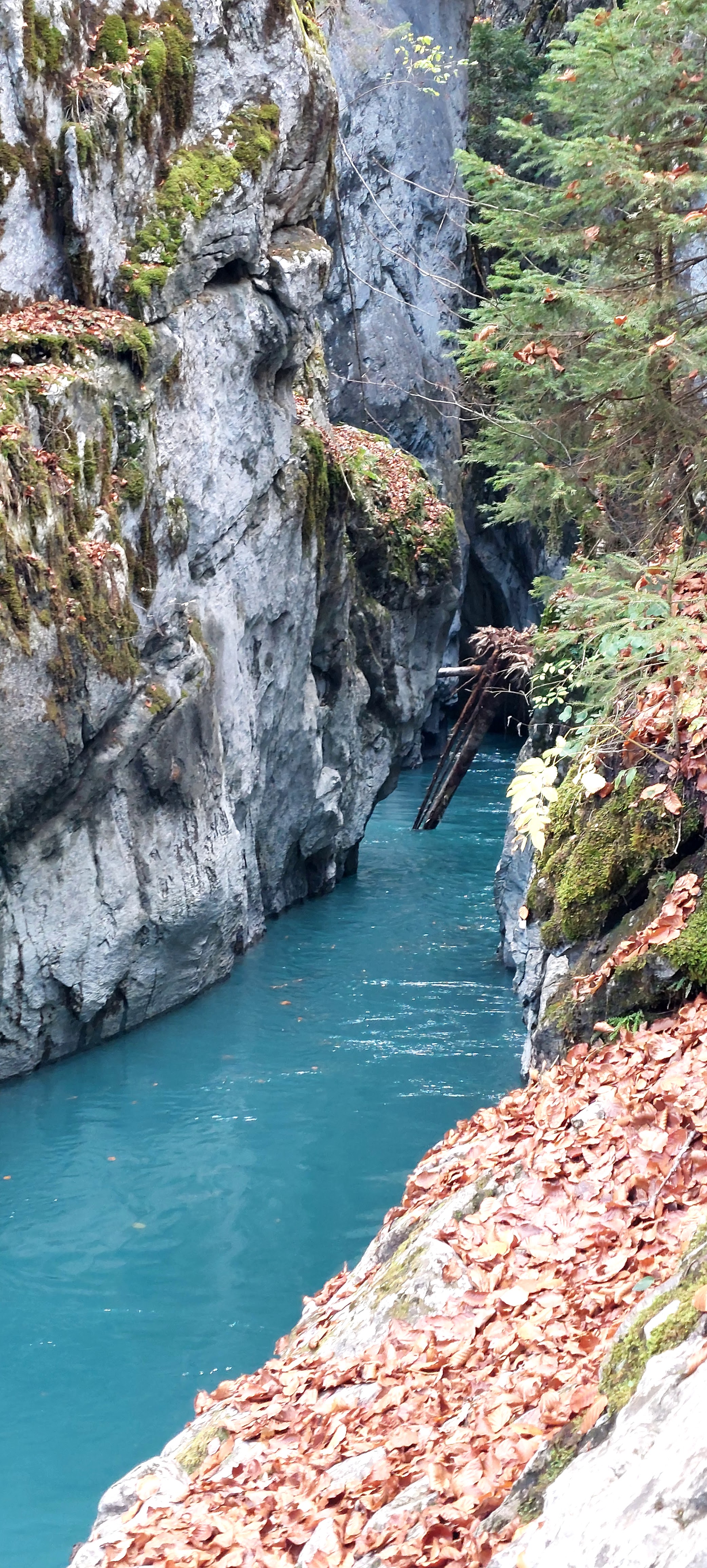 Photo n° 1 de l'avis de Sapna.u fait le 31/10/2022 à 21:01