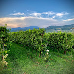 Photo n°4 de l'avis de Thomas.� fait le 25/08/2019 à 16:42 sur le  Ristorante Costadoro à Bardolino