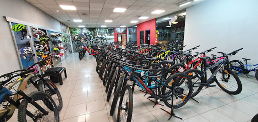 Bicycle store Seville