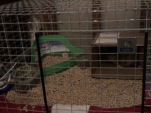 Pet Store «Double M Feed Garden & Pet Supply», reviews and photos, 1121 Gause Blvd, Slidell, LA 70458, USA