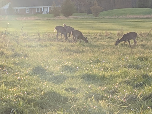 Golf Club «Boone Golf Club», reviews and photos, 433 Fairway Dr, Boone, NC 28607, USA