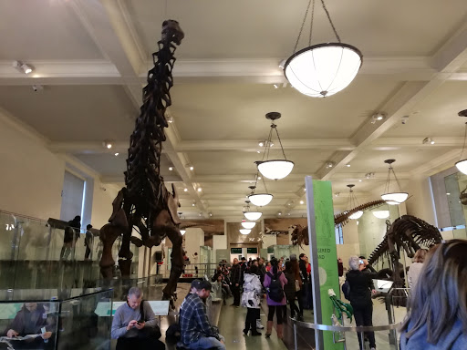 Gift Shop «The Museum Shop - American Museum of Natural History», reviews and photos, 200 Central Park West, New York, NY 10024, USA