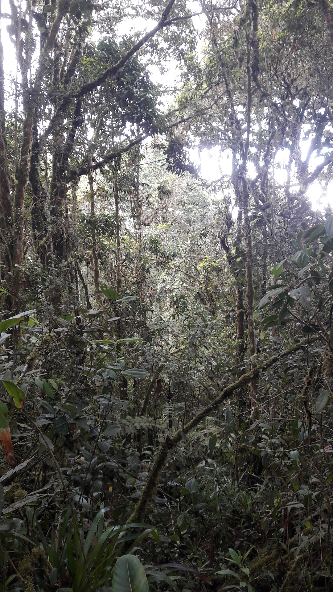 Reserva Natural Santa Juana