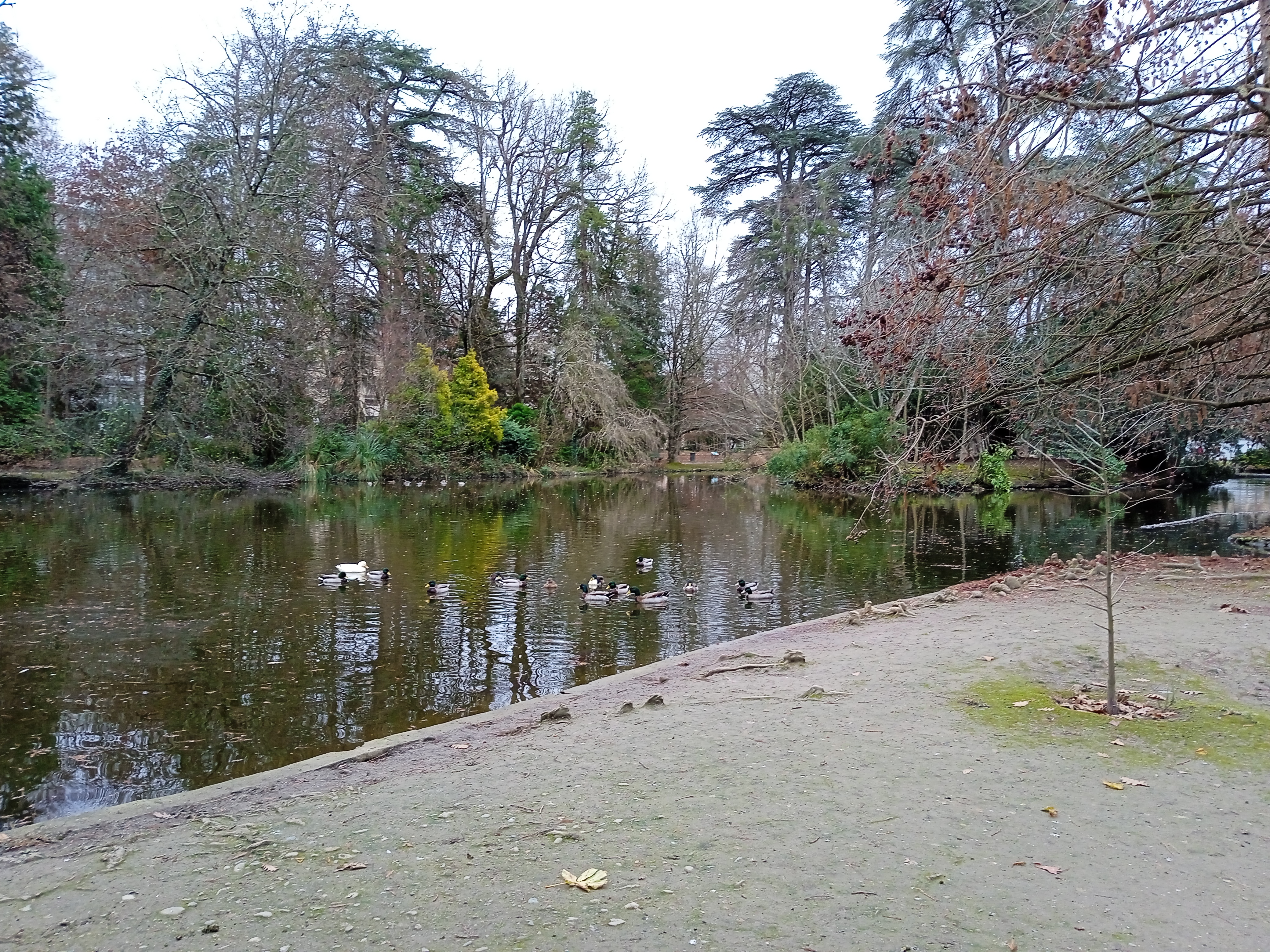 Photo n° 12 de l'avis de Didier.H fait le 16/11/2019 à 22:58