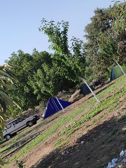 Muhtarın yeri çadır kamp ve piknik alanı