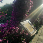 Photo n°1 de l'avis de Arcangelo.i fait le 28/06/2022 à 04:23 sur le  Hotel Dei Congressi à Castellammare di Stabia