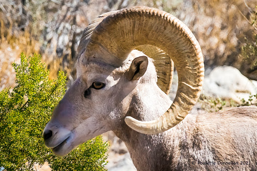 Anza-Borrego Desert State Park Visitor Center image