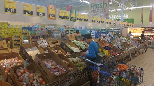 Supermarket «ALDI», reviews and photos, 221 Kernstown Commons Blvd, Winchester, VA 22602, USA