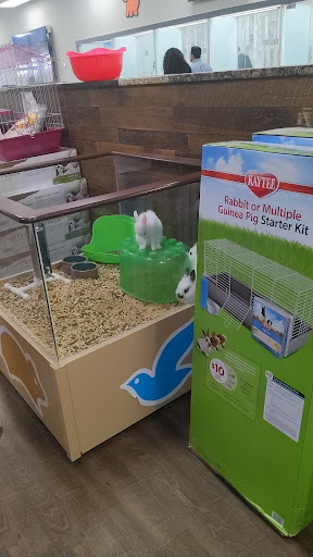 Dog Breeder «Petland Dunwoody», reviews and photos, 4733 Ashford Dunwoody Rd NE, Dunwoody, GA 30338, USA