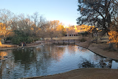 UNM Duck Pond