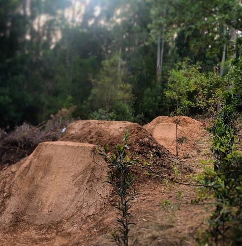 Caceira Bike Park