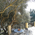 Photo n°11 de l'avis de Ale.a fait le 26/02/2019 à 21:08 sur le  Farm Borgo Antico à Mineo