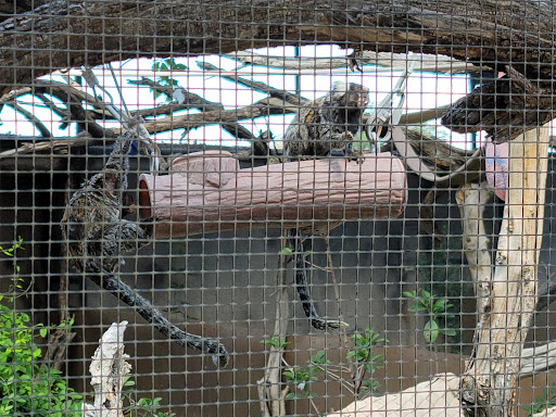 Zoo «Out of Africa Wildlife Park», reviews and photos, 3505 AZ-260, Camp Verde, AZ 86322, USA