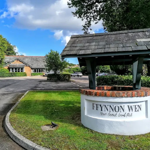 Comments and reviews of Ffynnon Wen