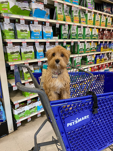 Pet Supply Store «PetSmart», reviews and photos, 355 Howe Ave, Cuyahoga Falls, OH 44221, USA