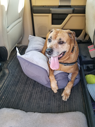 Pet Supply Store «PetSmart», reviews and photos, 1110 Hospitality Dr, Rock Hill, SC 29730, USA