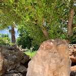 Photo n°2 de l'avis de Gianluca.c fait le 06/07/2023 à 10:43 sur le  B&B Giardino Isabella Restaurant & events à Palagiano