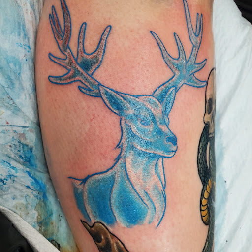 Explore care bear tattoo ideas, creative tattoo ideas in Sycamore, available at Spider Tattooz 2