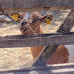 Photo n°3 de l'avis de Andreas.e fait le 15/09/2022 à 14:56 sur le  Tiepolo à Cavallino-Treporti