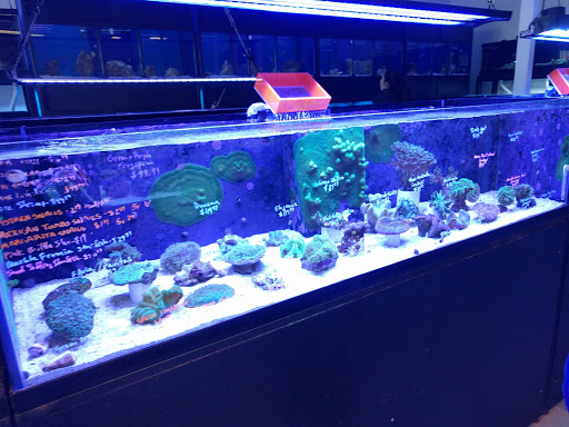 Aquarium Shop «Apex Aquarium», reviews and photos, 11111 N Central Expy, Dallas, TX 75243, USA