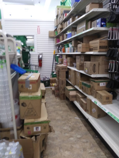 Dollar Store «Dollar Tree», reviews and photos, 1230 VFW Pkwy, West Roxbury, MA 02132, USA