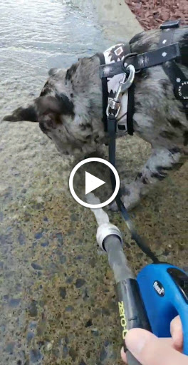 Explore kitsune tattoo ideas, creative tattoo ideas in Albany, available at Make Your Mark Tattoo