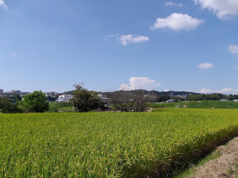 西野々古墳群