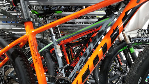 Bicycle Store «Big Wheel Bicycles USA, Inc», reviews and photos, 7035 Taft St, Hollywood, FL 33024, USA