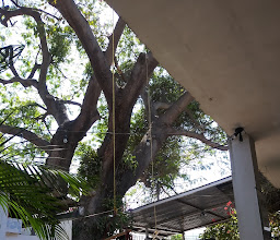 Ernesto's Good Grub photo