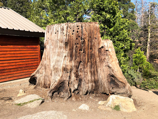 National Park «Kings Canyon National Park», reviews and photos