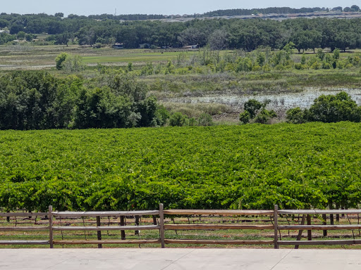 Vineyard «Lakeridge Winery & Vineyards», reviews and photos, 19239 US-27, Clermont, FL 34715, USA