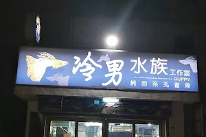 冷男孔雀魚 image