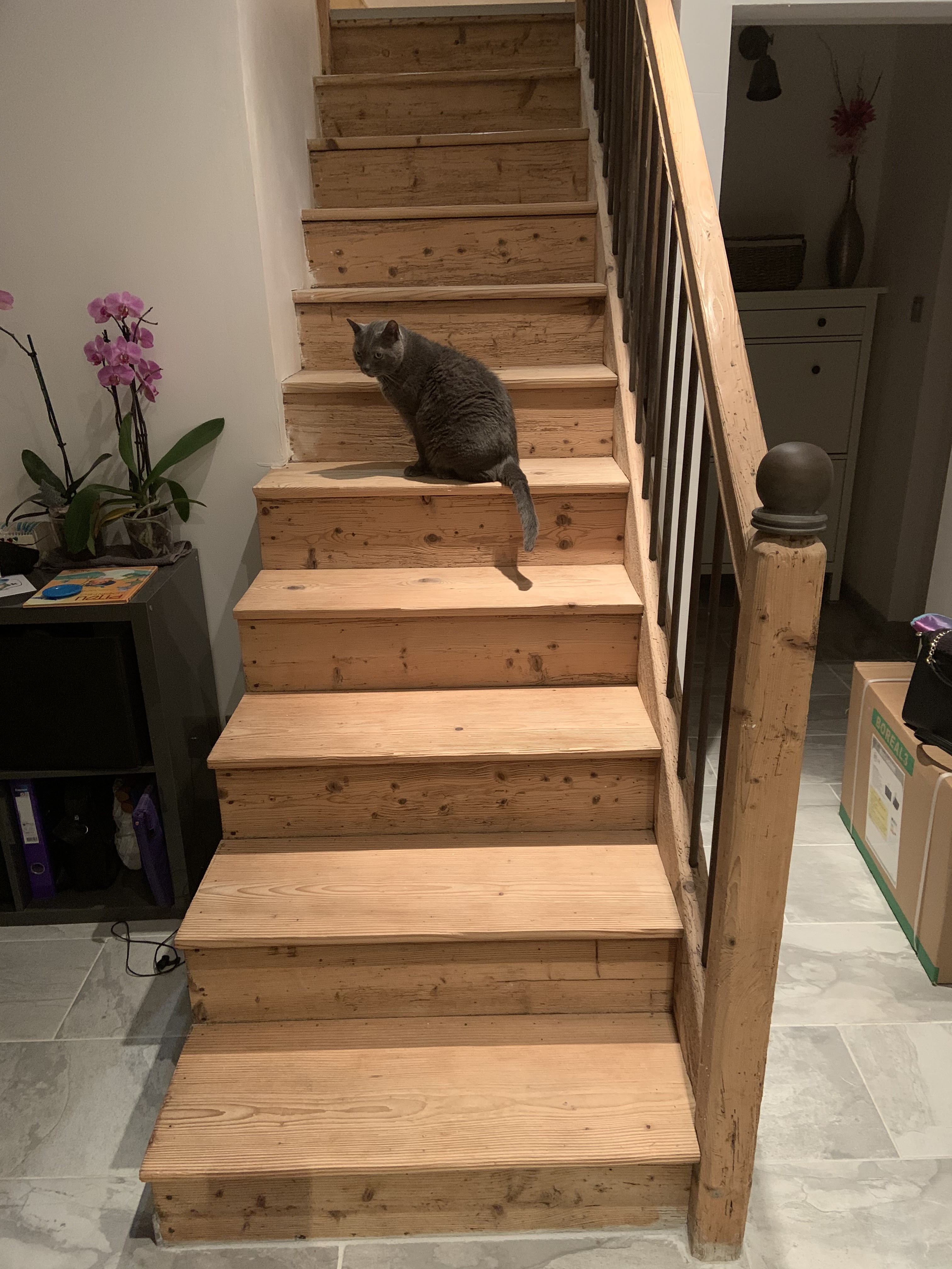 Photo n° 2 de l'avis de MEGGIE.R fait le 16/05/2023 à 08:47