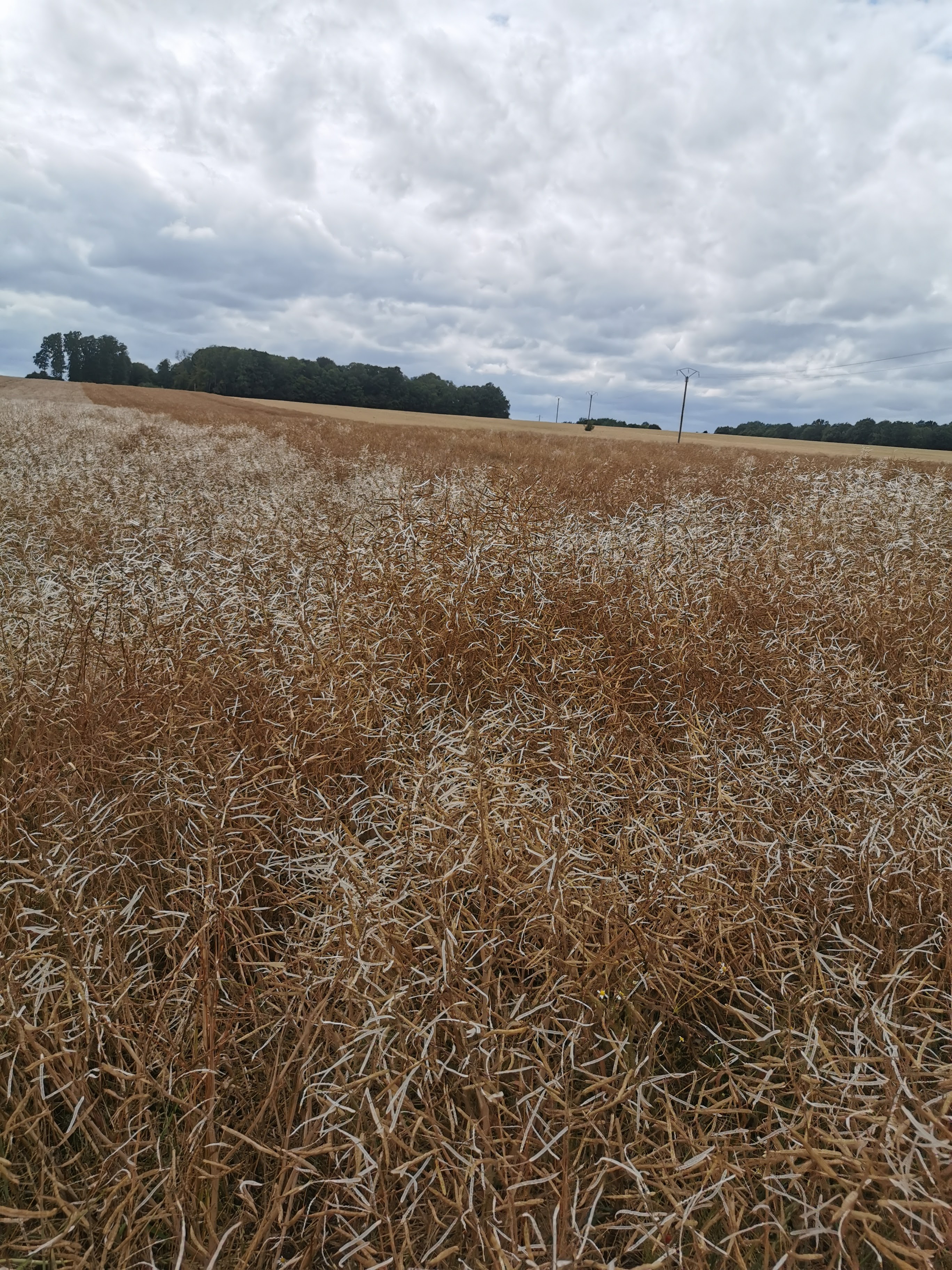 Photo n° 14 de l'avis de DANIEL.A fait le 19/04/2021 à 19:42