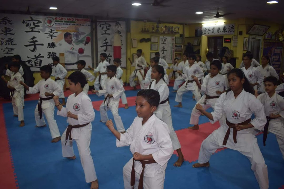 Kicks and Punches Karate School