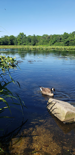 Nature Preserve «Twin Lakes Preserve», reviews and photos, Park Ave, Wantagh, NY 11793, USA