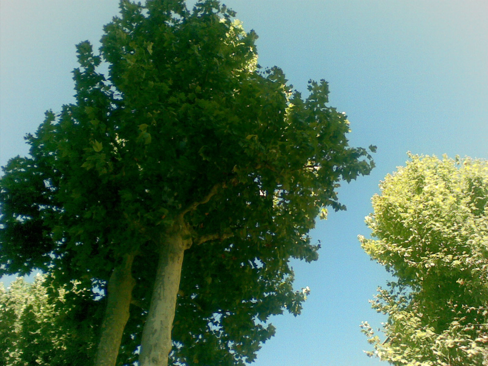 Photo n° 27 de l'avis de Café.a fait le 26/08/2022 à 06:23