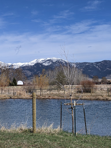 Animal Park «Dog Park At Gallatin County Regional Park (13 Acre w Pond)», reviews and photos, 3900 Baxter Ln, Bozeman, MT 59718, USA