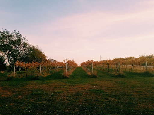 Winery «Deer Springs Winery», reviews and photos, 16255 Adams St, Lincoln, NE 68527, USA