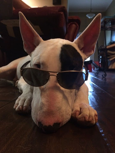 Insurance Agency «Allstate Insurance Agent: Jeffrey Kesler», reviews and photos