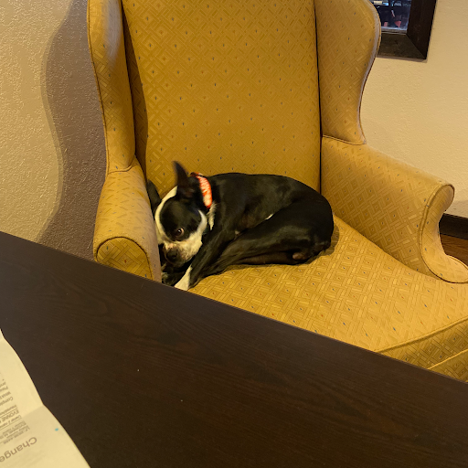 Auto Insurance Agency «Devin Hidalgo - State Farm Insurance», reviews and photos