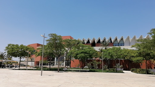 Edificio Altabix UMH - Campus de Elche - Avenida de la Libertad, 03207 Elche, Alicante
