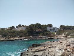 Φωτογραφία του Cala Mosques άγρια περιοχή