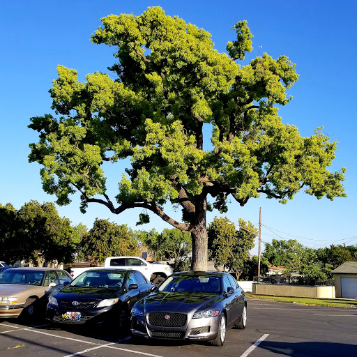 Car Wash «Soft Touch Car Wash», reviews and photos, 5246 Riverside Dr, Chino, CA 91710, USA