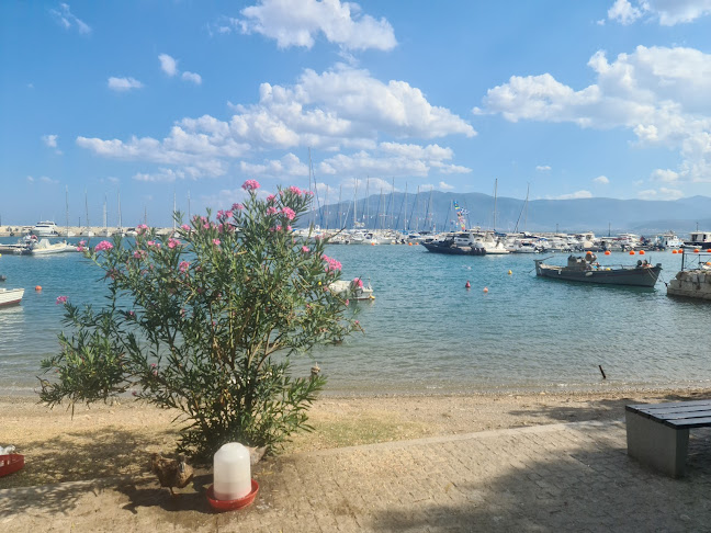 Παράλιο Άστρος - Ασφαλιστής