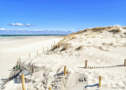 Photo de Bayview beach - bon endroit convivial pour les animaux de compagnie pour les vacances
