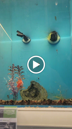 Pet Supply Store «PetSmart», reviews and photos, 4654 Milestone Ln, Castle Rock, CO 80104, USA